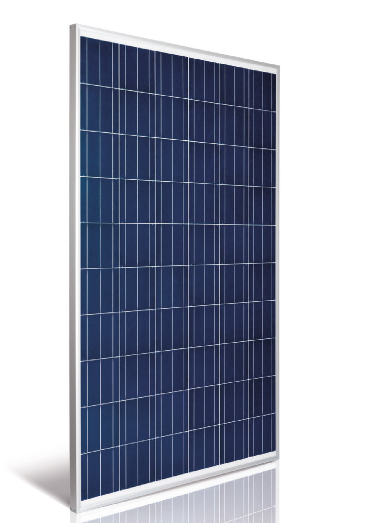 Crystalline PV Module ASM6612P Series